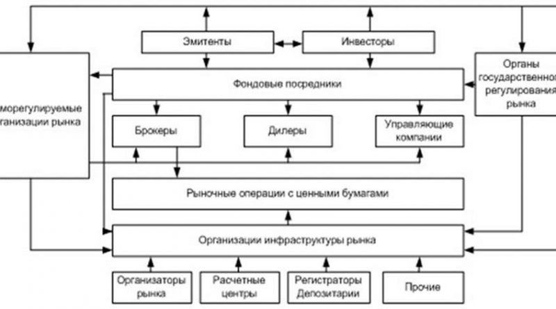 Участники рынка ценных бумаг в зависимости от их функционального назначения